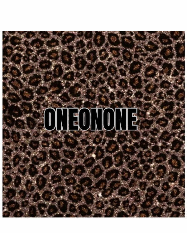 ONEONONE